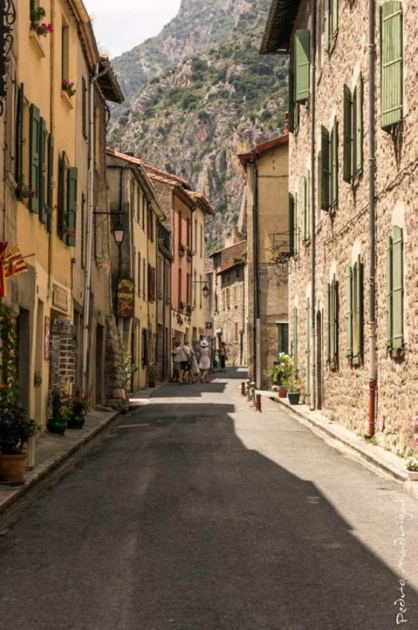 Maison Les Ramparts ヴィルフランシュ・ド・コンフラン エクステリア 写真